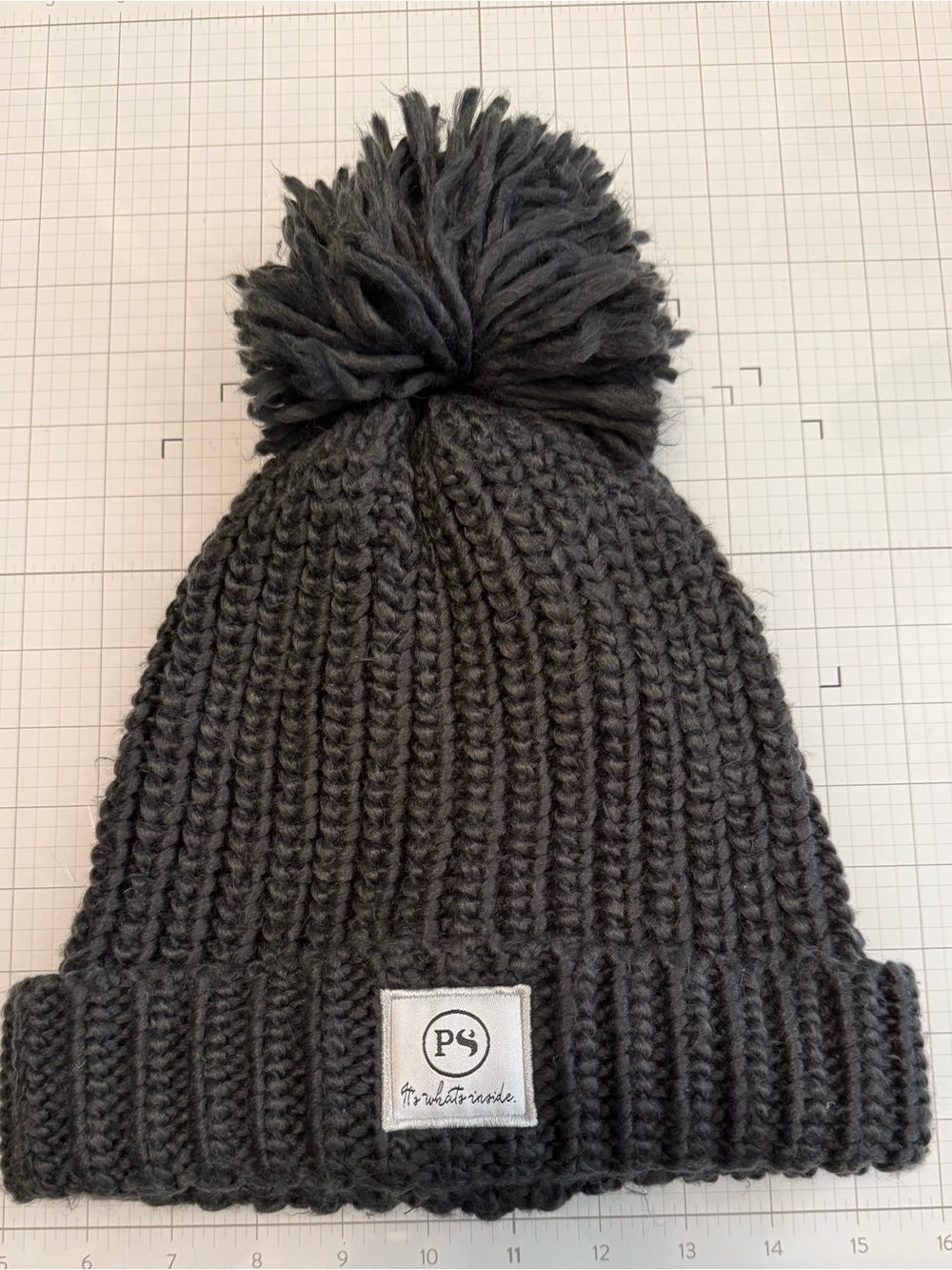 PS It’s What’s Inside Hilarious Charcoal Knit Pom Beanie